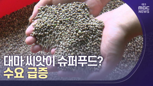 대마종자유 효능과 먹는 방법 