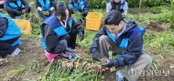 횡성 가볼만한곳 베스트10 여행 놀거리 맛집_24
