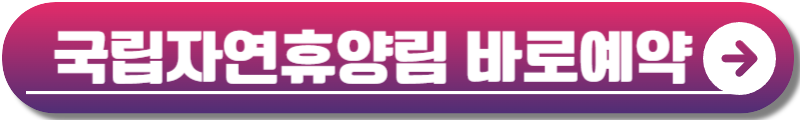 숲나들e