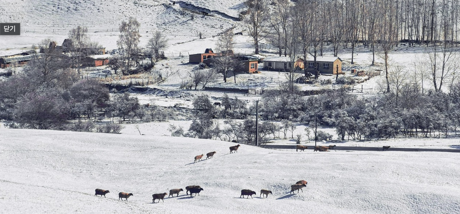 설경 여행의 모든 것 (설경 명소, 촬영 포인트, 체크리스트)