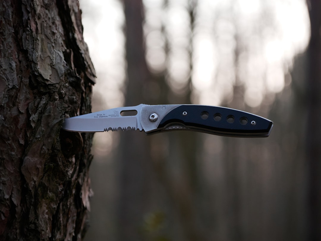 Blade