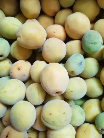 매실액기스 효능 해독 작용 숙취 건강 효과 정리_8