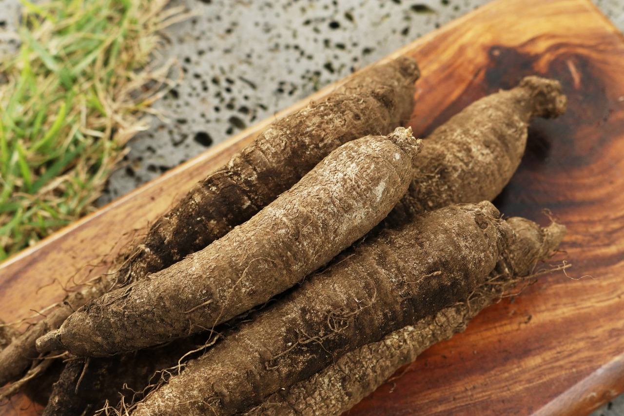 설 선물세트 베스트 추천 TOP10