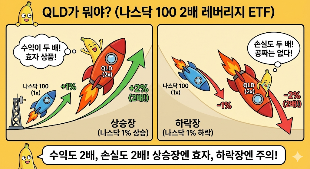 QLD가 뭐야
