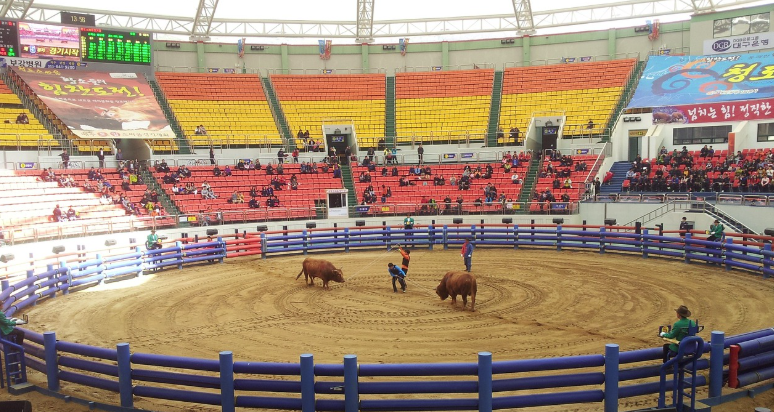 국내여행정보 (전라도, 경상도, 충청도) 관련사진