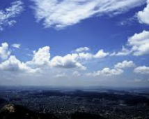 ENTP 유형 특징 분석