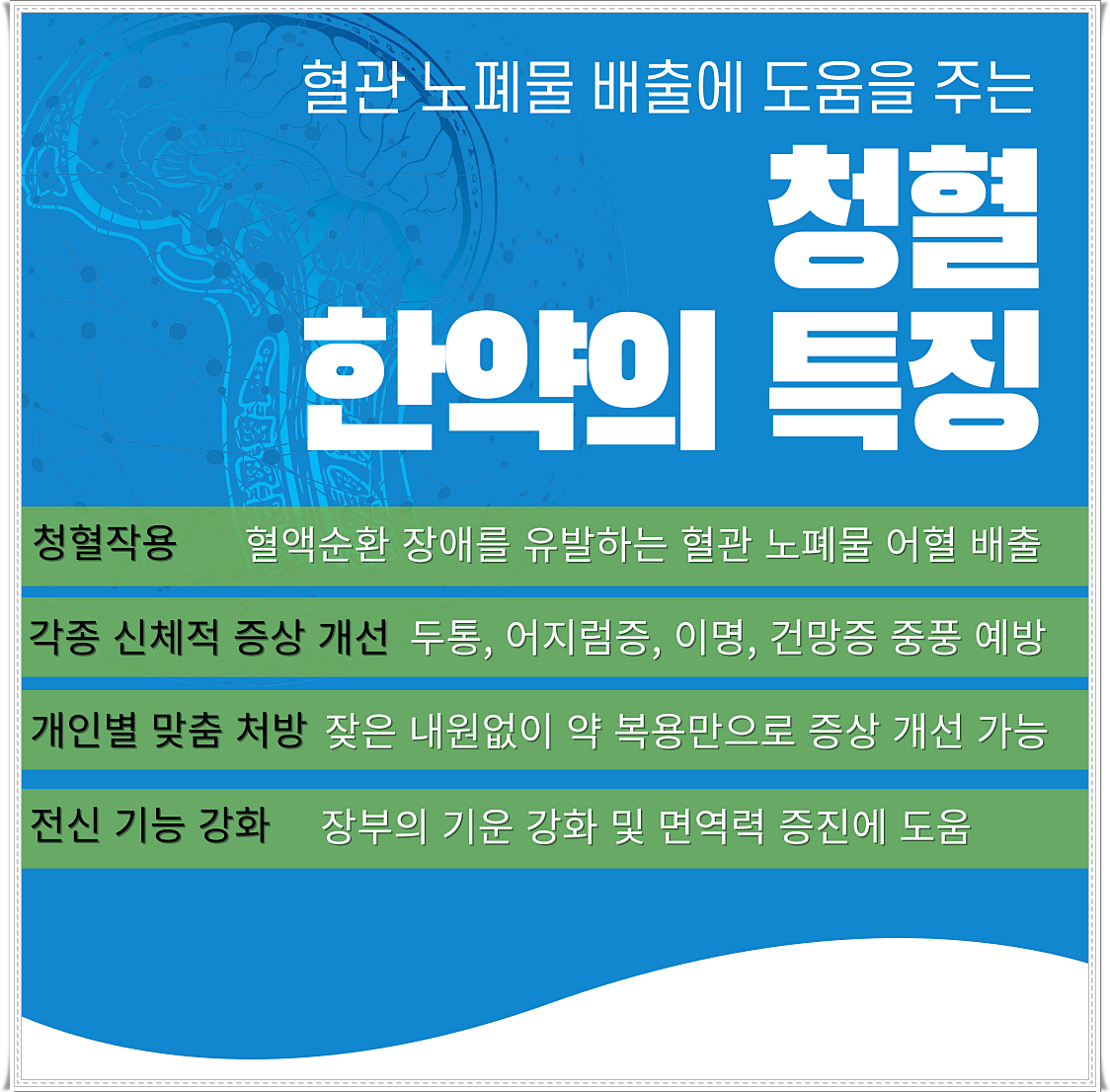 청혈 작용을 하는 한약의 효과를 설명해 놓은 배너