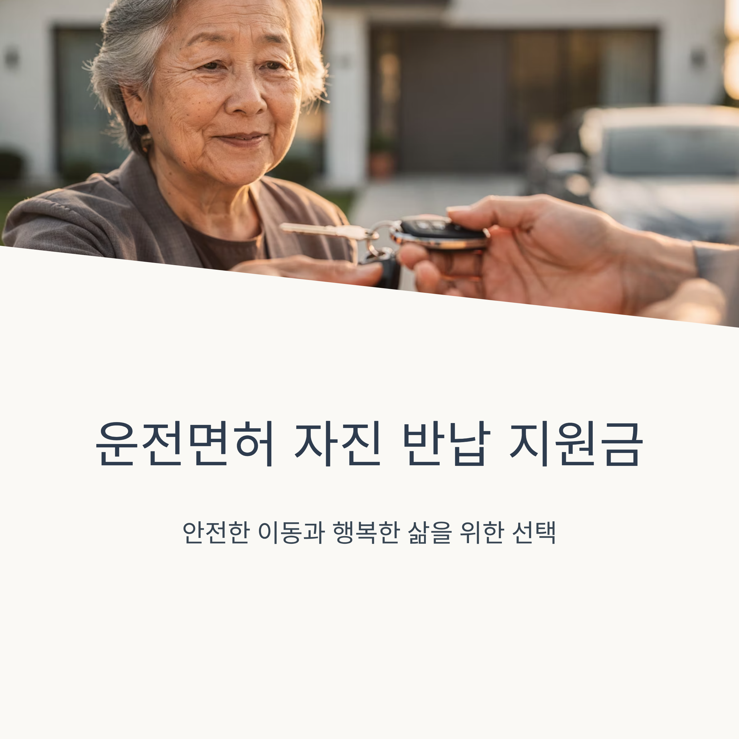 운전면허 자진 반납 지원금