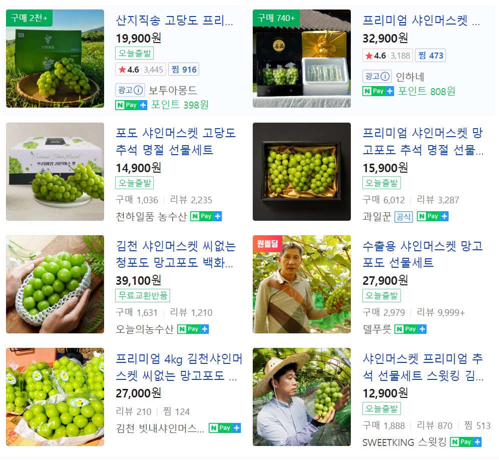 샤인머스켓가격효능