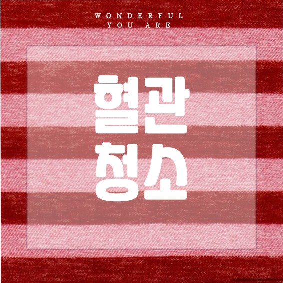 혈관 건강을 위한 식품 완벽 가이드