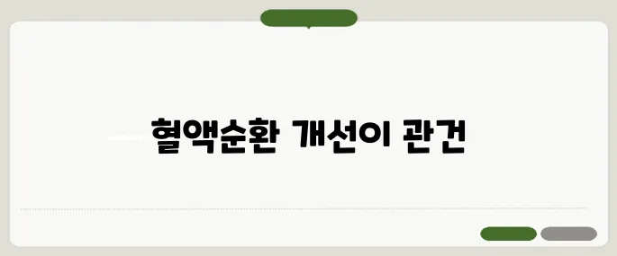 수족냉증 치료법 정리 따뜻한 차보다 중요한 건 혈액순환
