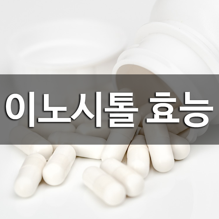 이노시톨 효능