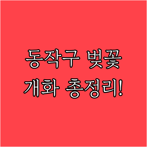 2026년 동작구 벚꽃 개화 시기 및..