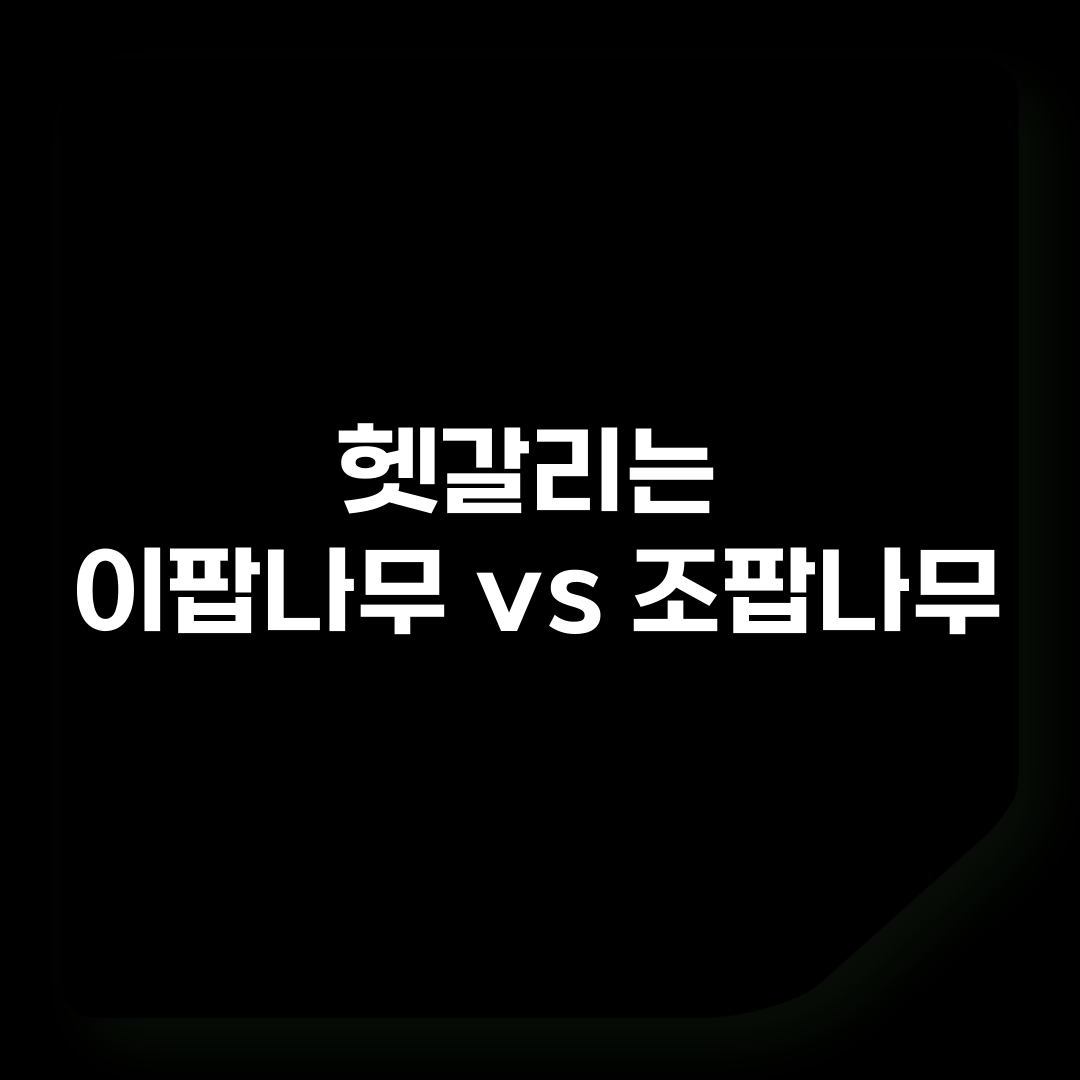 이팝나무 vs 조팝나무
