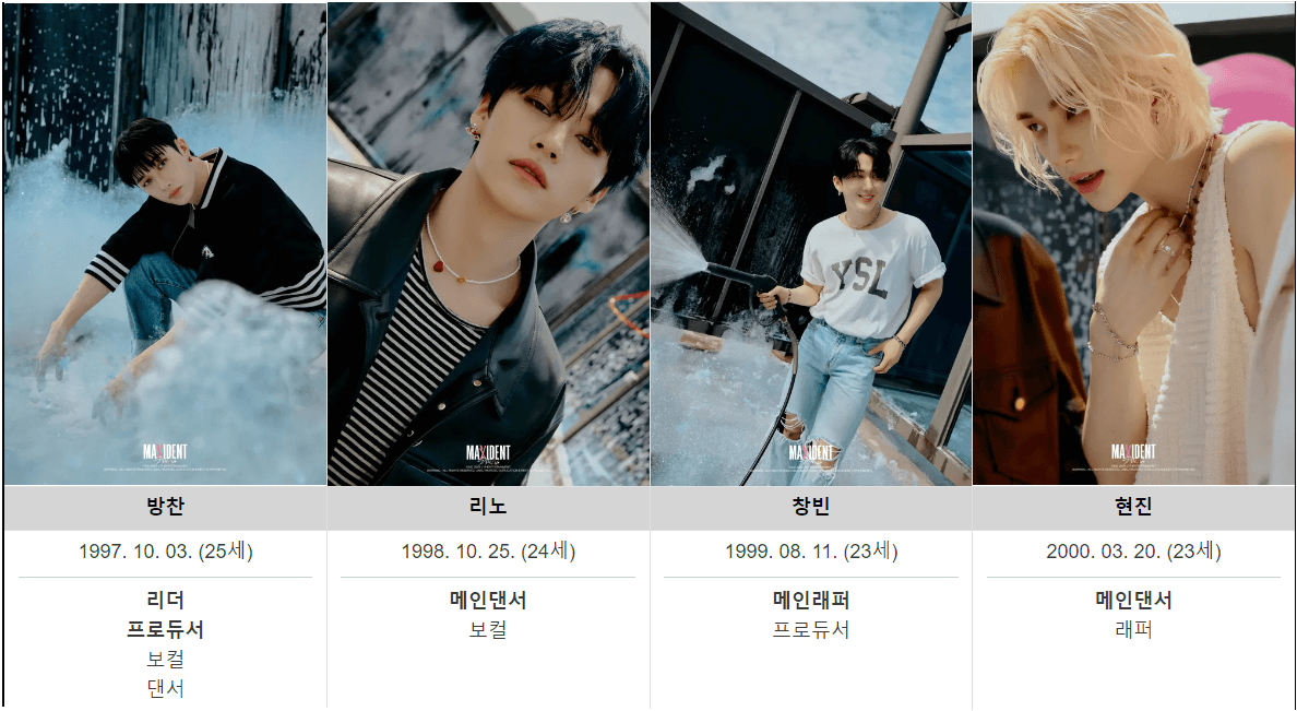 Stray Kids
