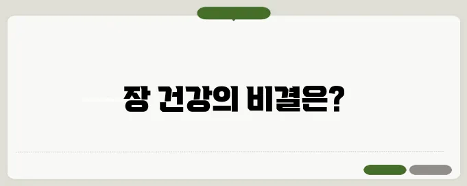 변비 해결 방법과 장 건강 관리