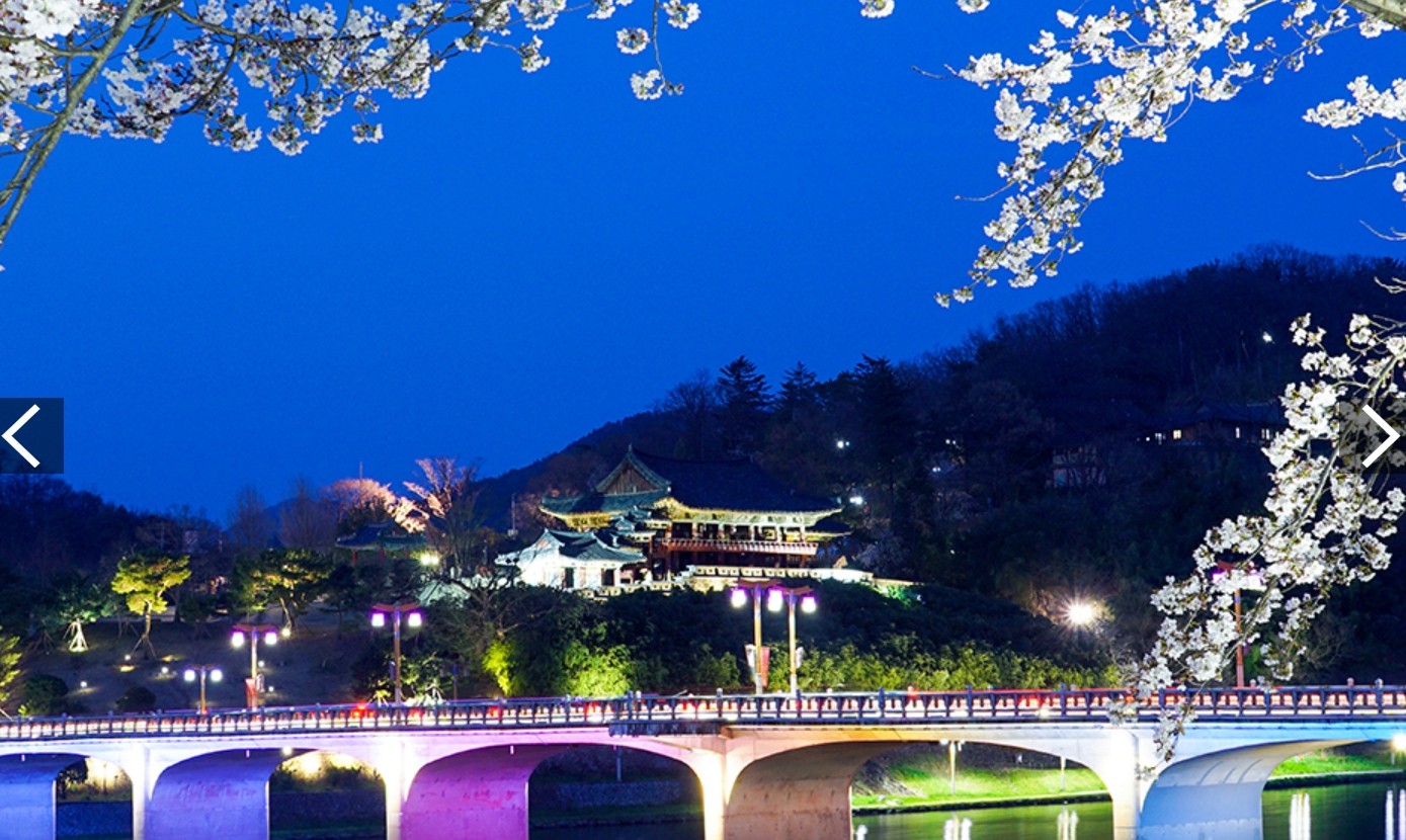 밀양 벚꽃 명소