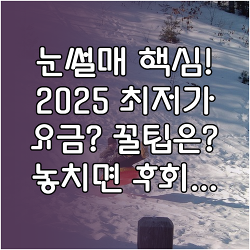 전국 눈썰매장 2025 운영시간 요금..