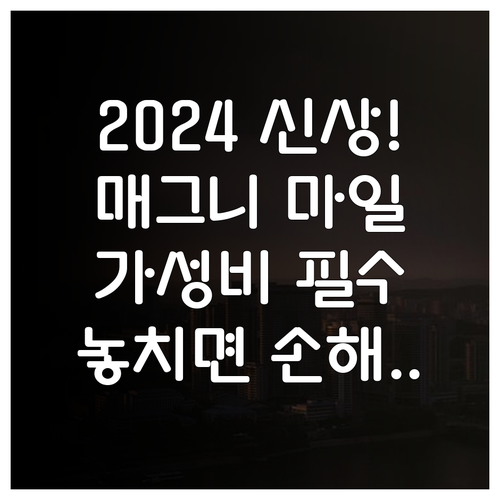 2024년 신상 호텔 포함 시카고 매..