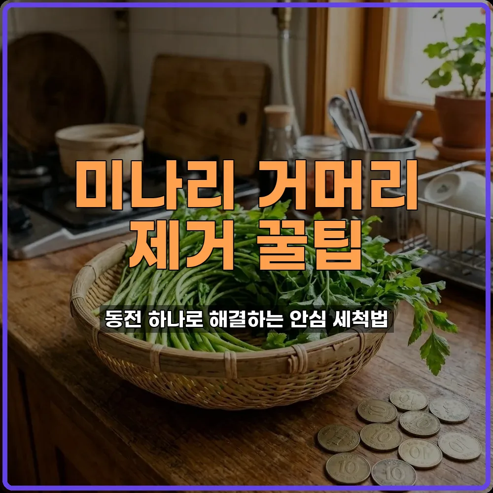 미나리손질법
