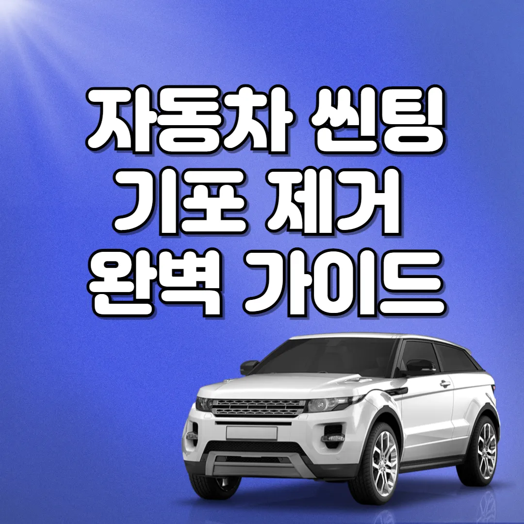 자동차 썬팅 기포 제거 완벽 가이드 텍스트 및 자동차 이미지
