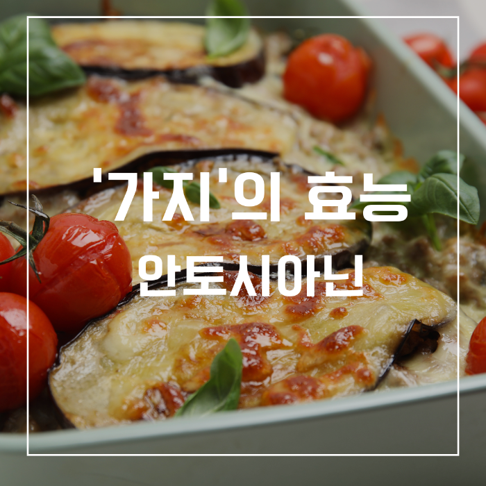 가지의 효능