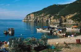 백령도 배편 시간표