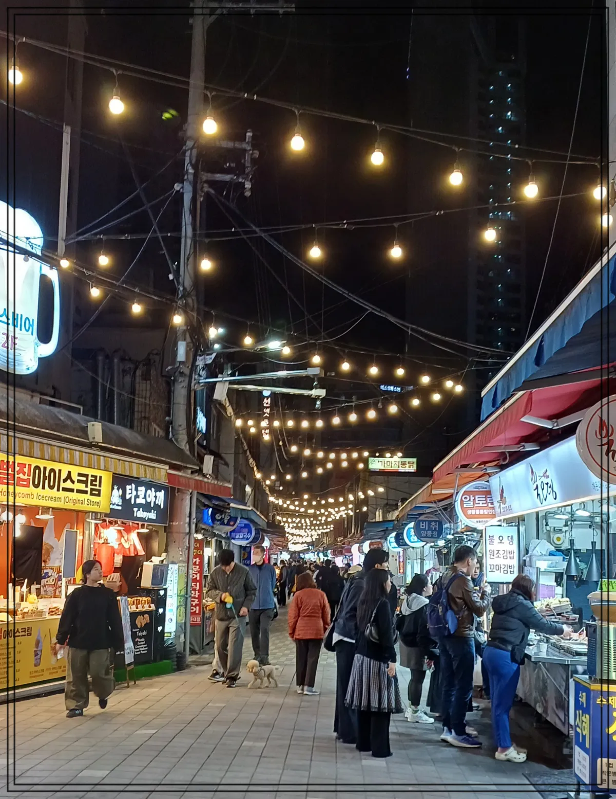 야시장-밤거리-전통시장-사람들-먹거리상점-시장조명