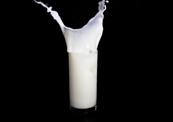 오메가 3 많은 음식 리스트 : 유제품