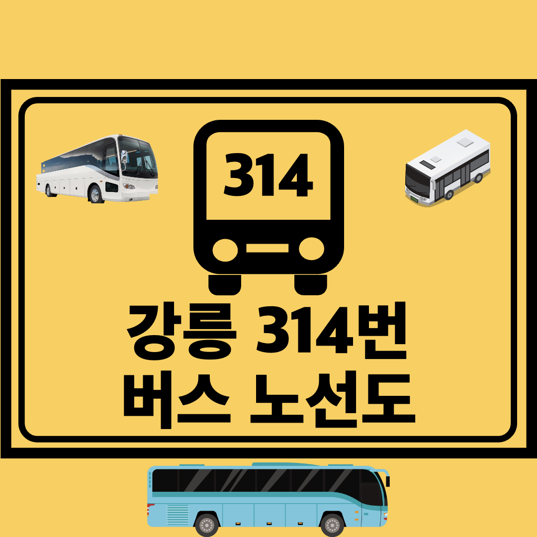 강릉_314번_일반버스_노선도