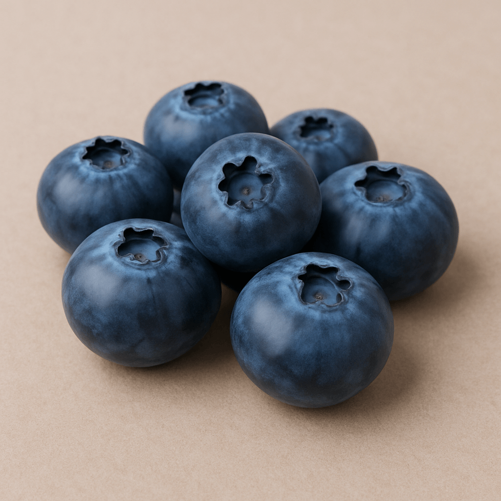 2025 5월 이마트 고래잇페스타 할인 총정리