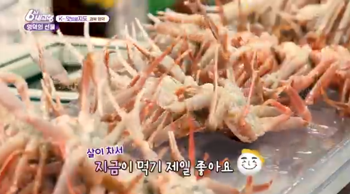 6시내고향 k맛집