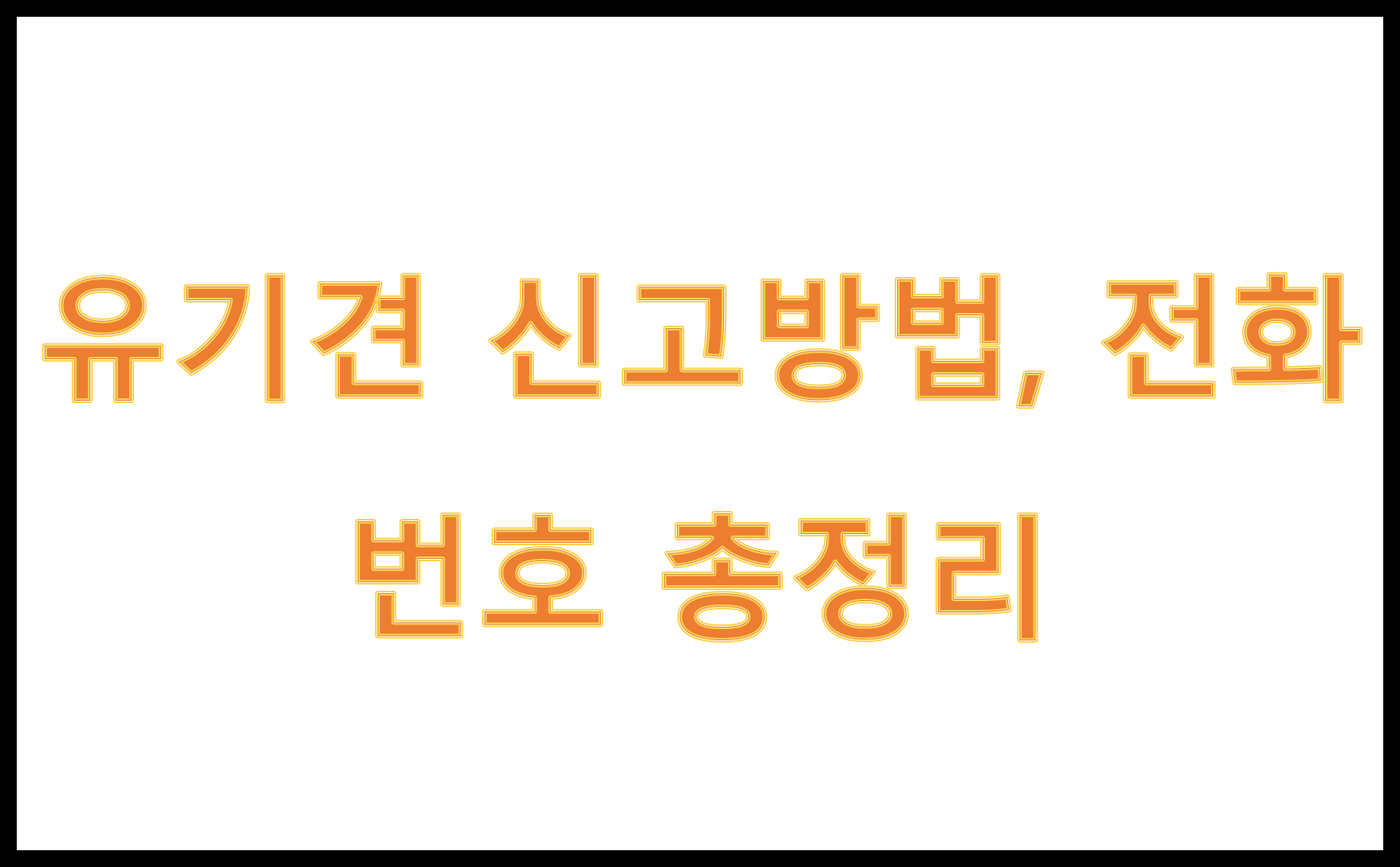 유기견 신고방법, 전화번호 총정리