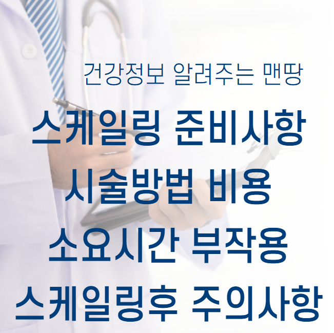 스케일링