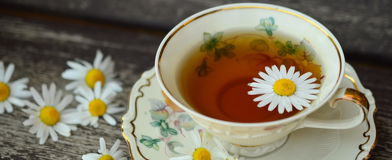 동의보감 내경편: 간의 기능과 해독작용