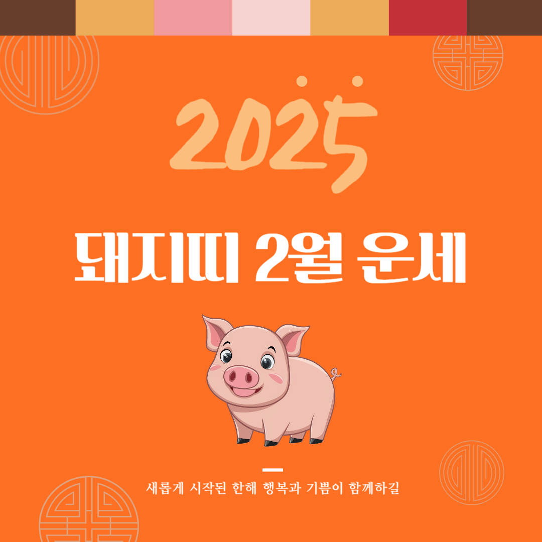 2025년 을사년 『돼지띠』 2월 운세