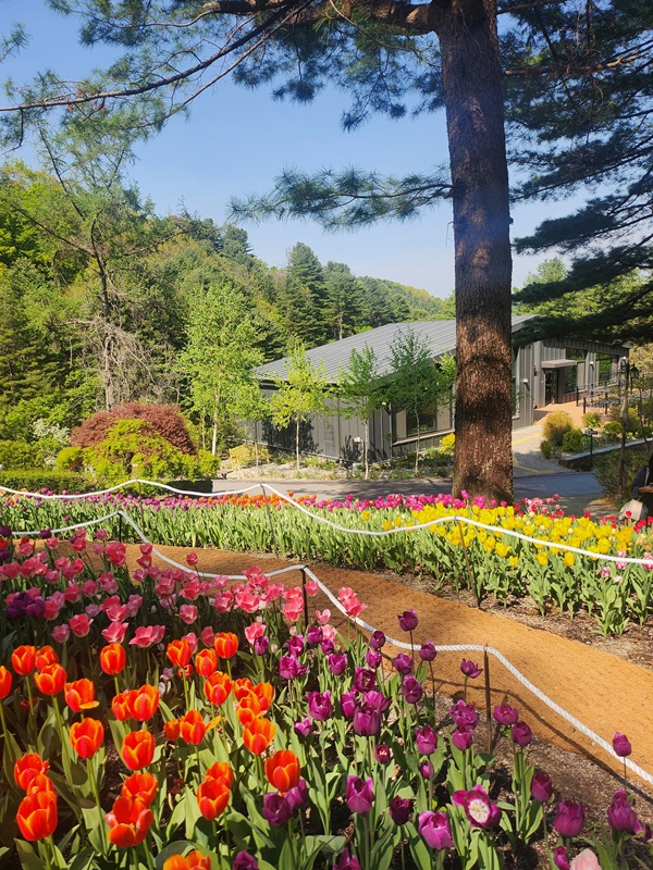 아침고요수목원 입장료&amp;#44; 방문기