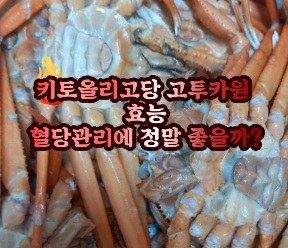 키토올리고당-고투카원-효능