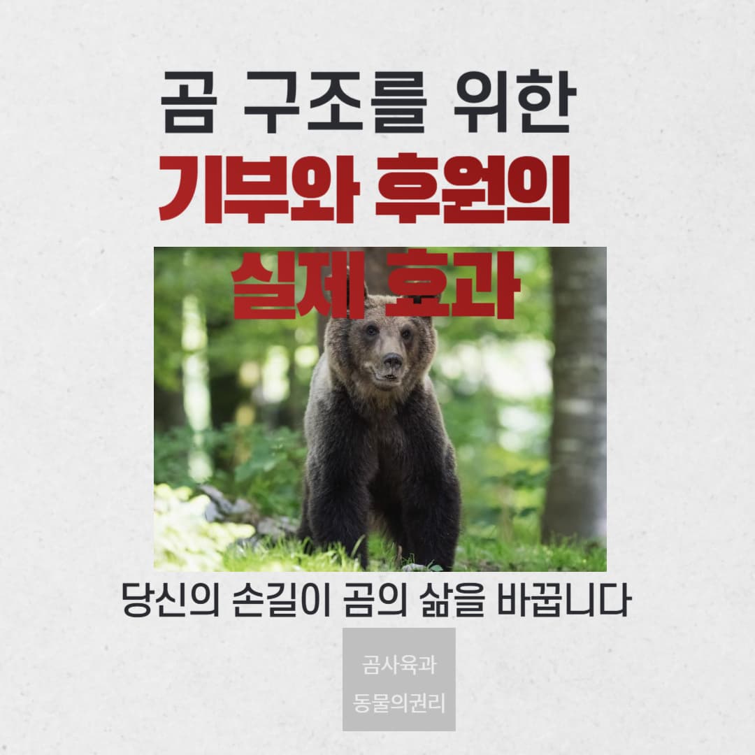 곰 구조를 위한 기부와 후원의 실제 효과
