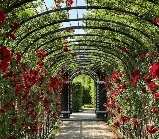 서울가든페스타