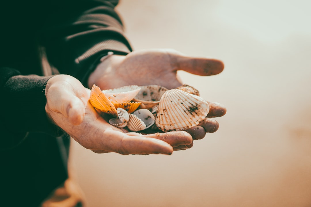 Hope Savings Account