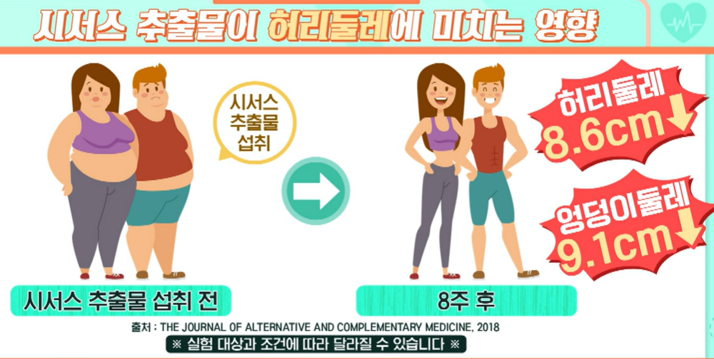 시서스 효능