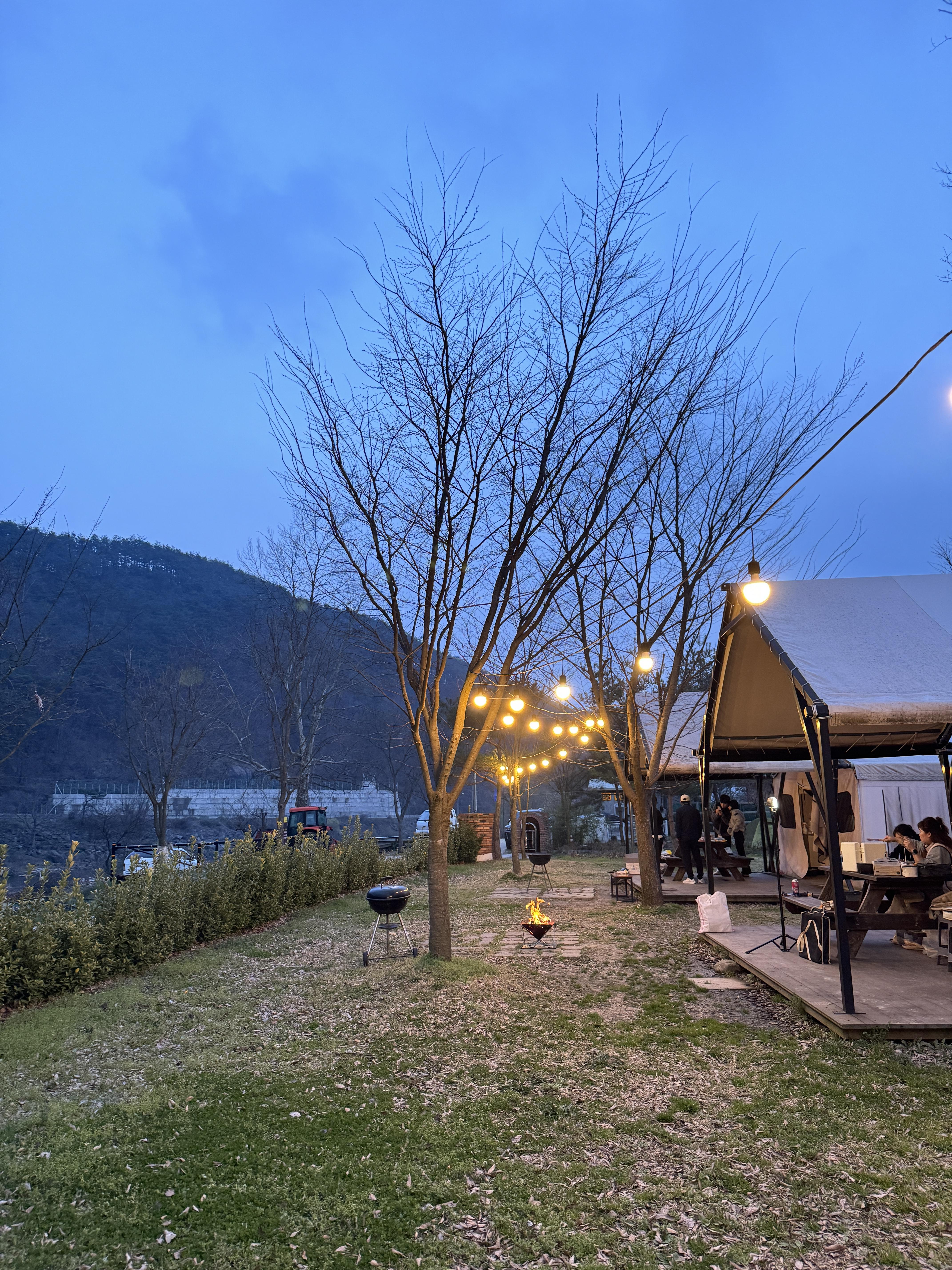 강변사리캠핑장