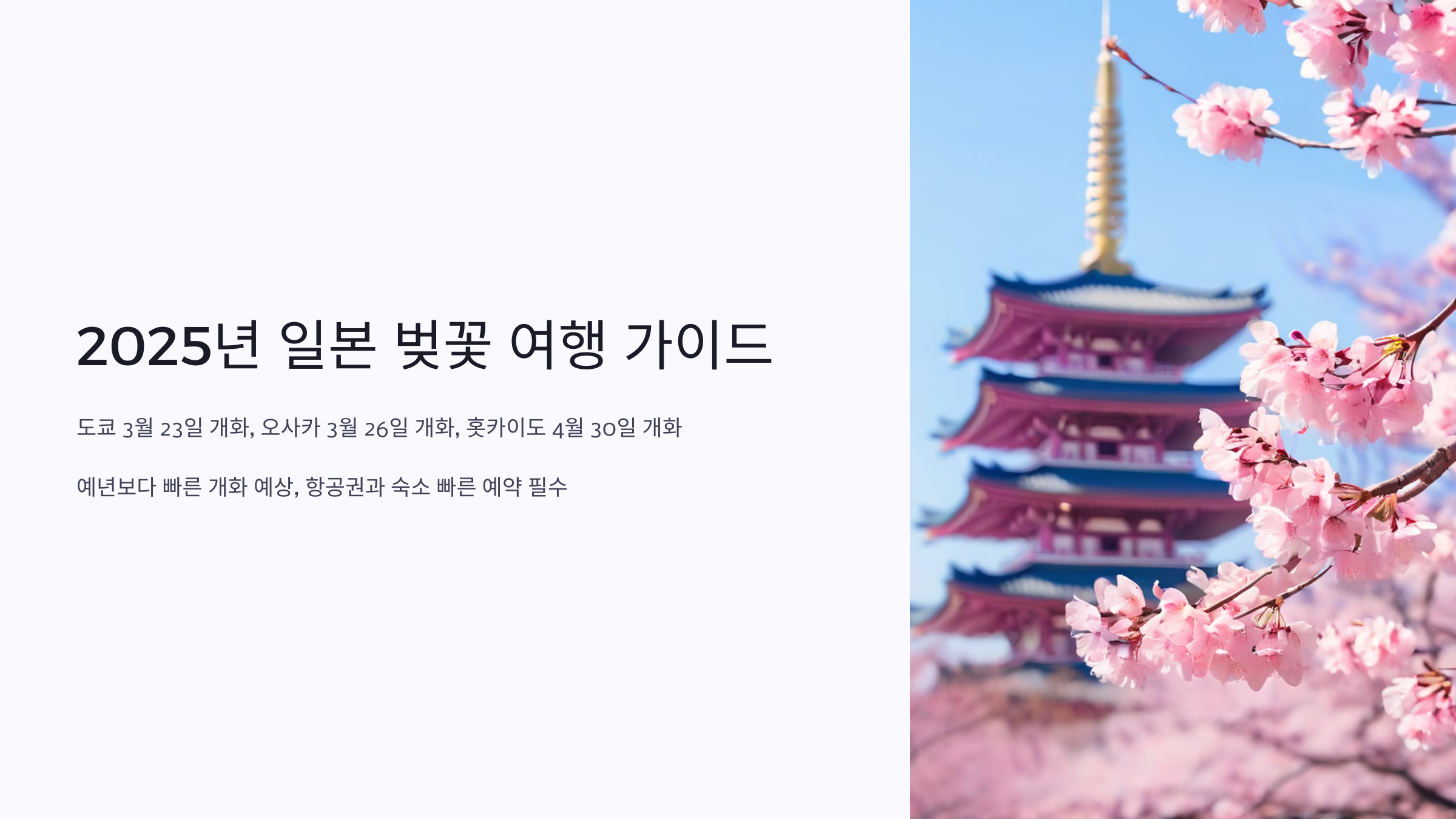 202년 일본벚꽃여행