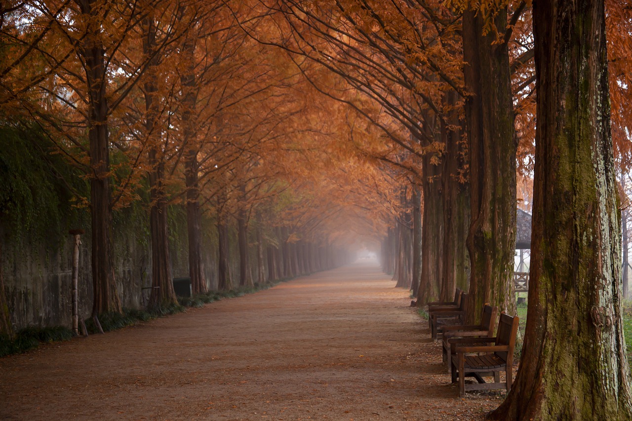 건강보험료 경감 신청