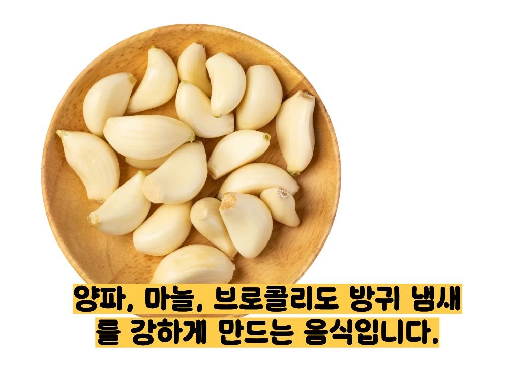 방귀 냄새가 지독해요