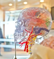 치매 초기증상 8가지 원인과 예방법