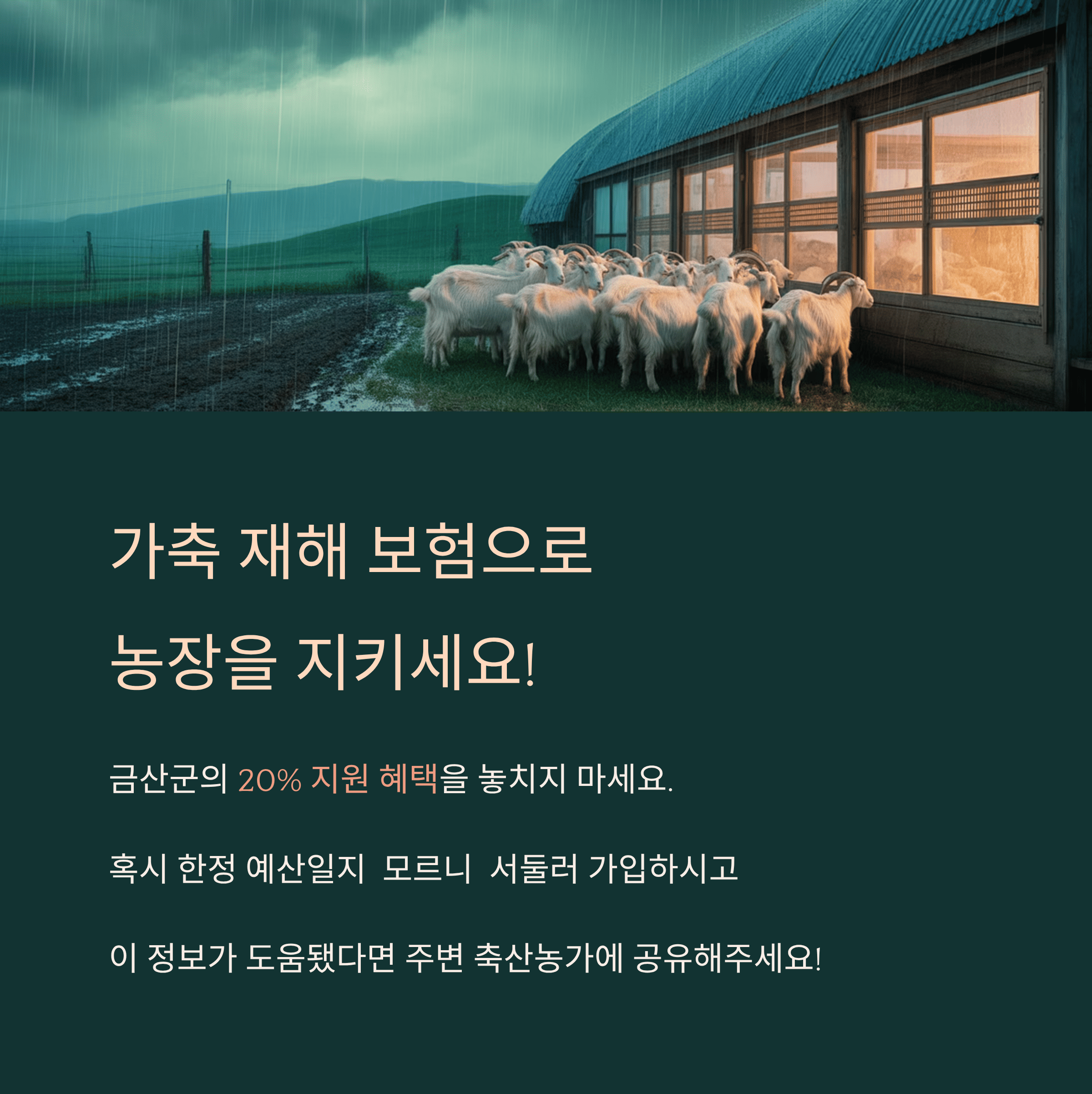 금산군 축산 농가 가축 재해 보험금 지원