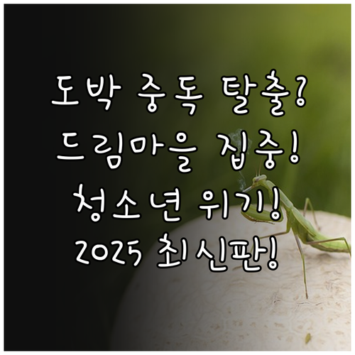 청소년 사이버도박 스마트폰 중독 20..