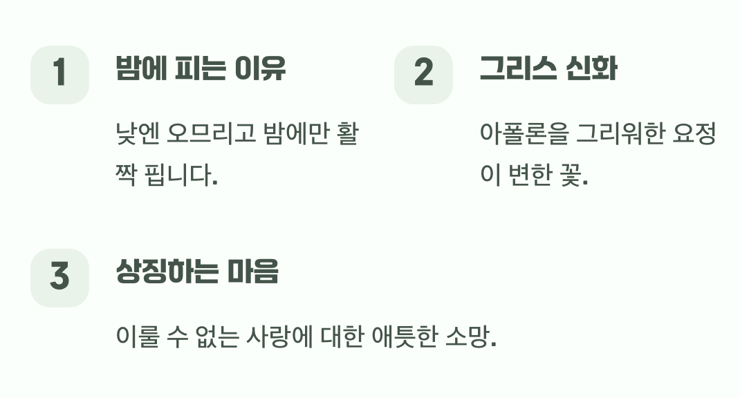 어둠 속에서 피어나는 기다림